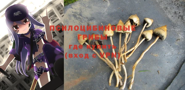 винт Абаза