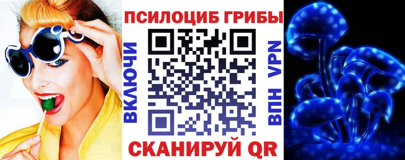 Галлюциногенные грибы GOLDEN TEACHER  сколько стоит  Бокситогорск 